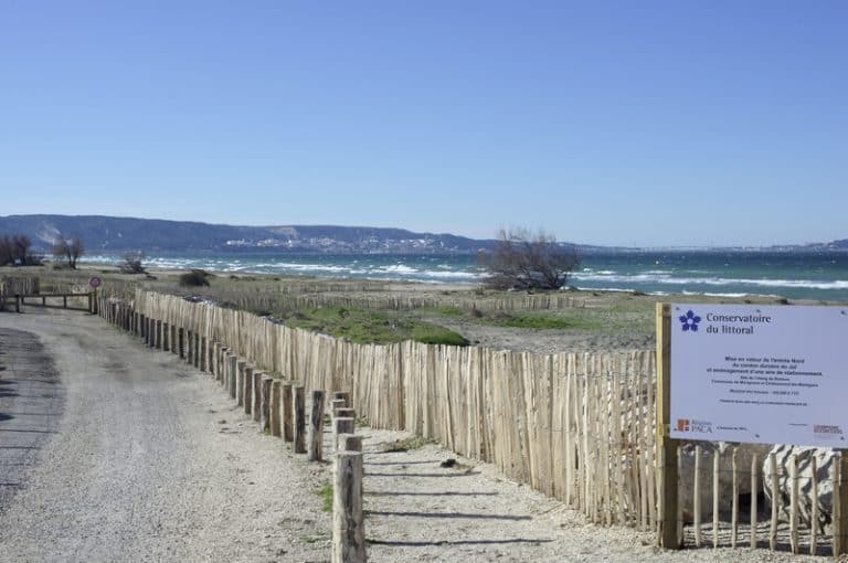 Agenda – Des sorties culturelles et des loisirs tout l’été pour découvrir Marignane