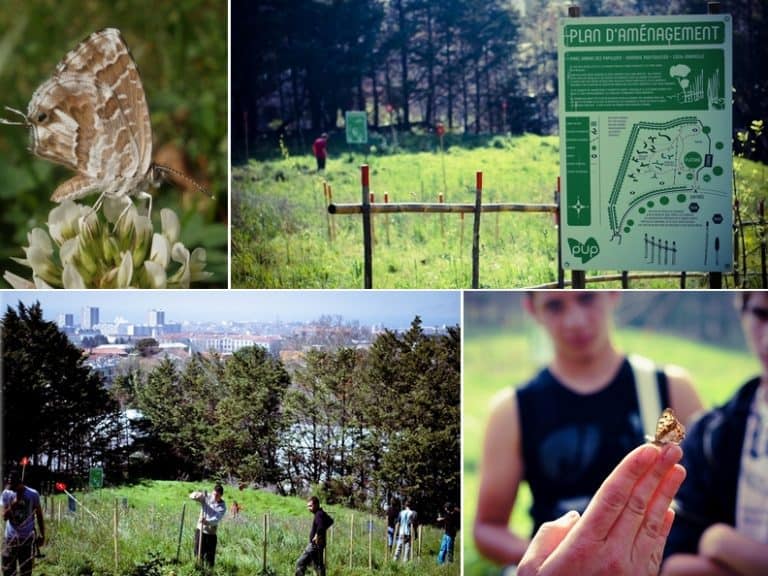 Partez pour un petit tour au Parc Urbain des Papillons