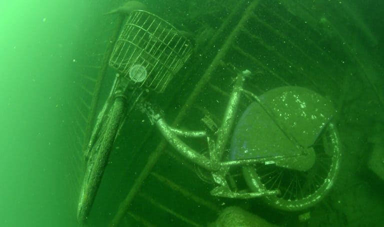 Samedi, plongeurs et bénévoles vont sauter à l&rsquo;eau pour nettoyer le Vieux-Port