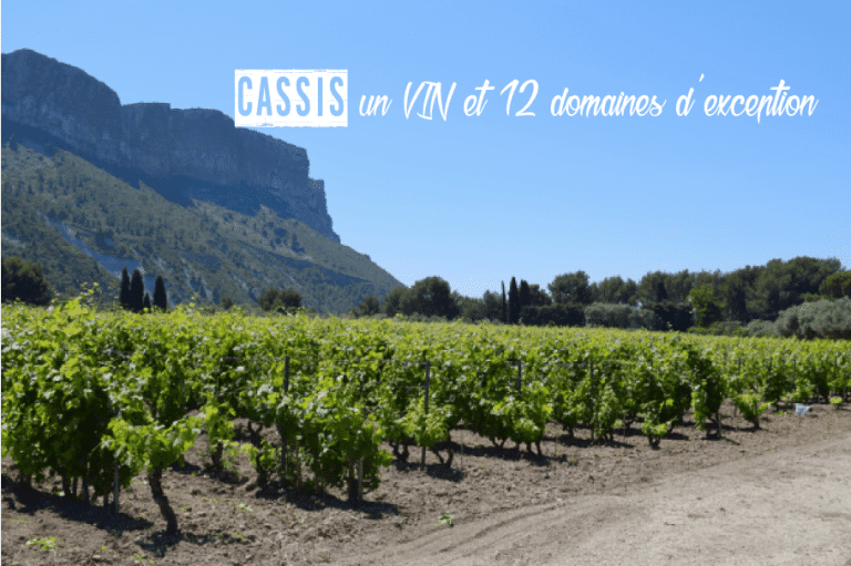 Vin de Cassis, à la découverte des 12 domaines d&rsquo;exception