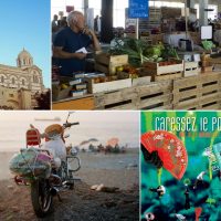agenda-evenement-culture-marseille-environ