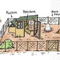 idee-amenagement-jardin-poulailler