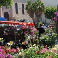 marche-la-ciotat