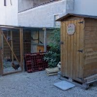poules, A F&eacute;lix Pyat, des Marseillais adoptent des poules pour r&eacute;duire les d&eacute;chets&nbsp;!, Made in Marseille