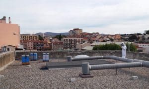 poules, A F&eacute;lix Pyat, des Marseillais adoptent des poules pour r&eacute;duire les d&eacute;chets&nbsp;!, Made in Marseille