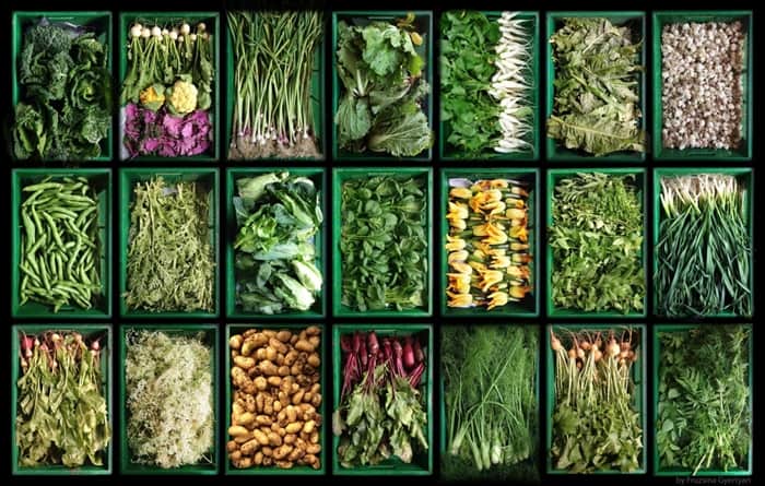 La France démontre que la permaculture est très rentable