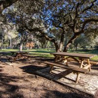 parc-figuerolles-balade-tourisme