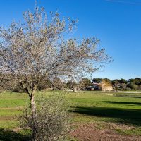 visite-tourisme-martigues-parc-figuerolle