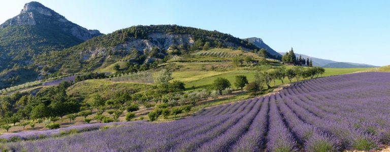 Un appel aux dons pour préserver les espaces naturels PACA
