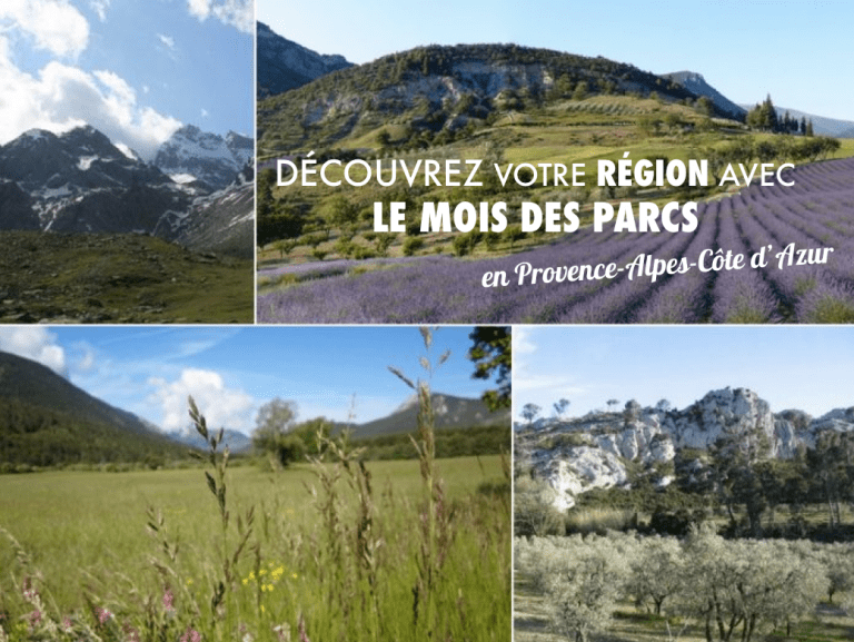 Découvrez les parcs de la région autrement avec le Mois des Parcs !