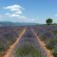 provence-destination-tourisme-coree