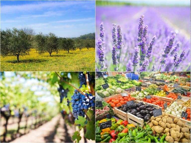 Aix Marseille Provence Métropole met l&rsquo;alimentation saine au coeur de son projet