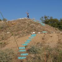 , Des &acirc;nes investissent le parc Foresta dans les quartiers Nord de Marseille, Made in Marseille