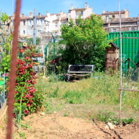 jardin-partage-friche-belle-mai