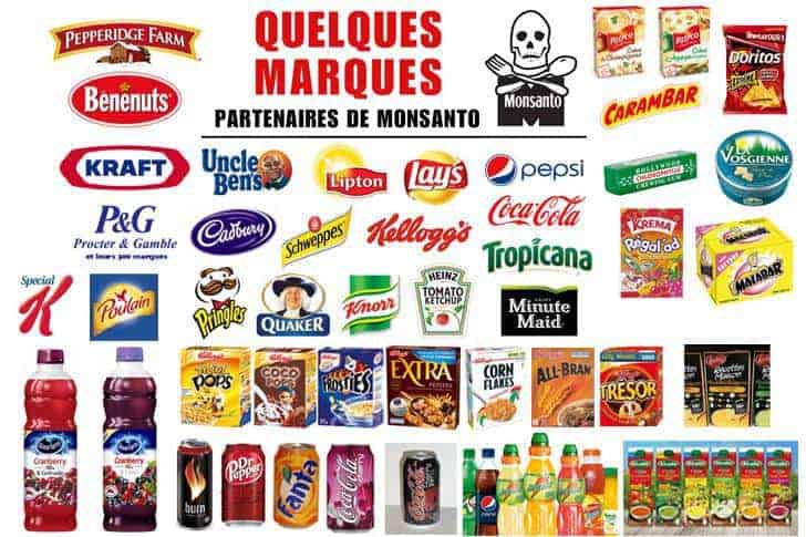 Pourquoi faut-il se protéger contre le groupe « Bayer – Monsanto » ?