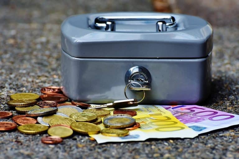 Vidéo – La Roue, monnaie locale complémentaire et citoyenne, lance son billet 13 !