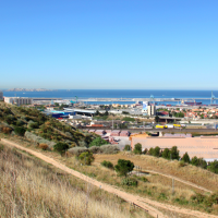 , Des &acirc;nes investissent le parc Foresta dans les quartiers Nord de Marseille, Made in Marseille