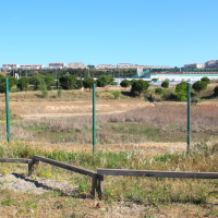 , Des &acirc;nes investissent le parc Foresta dans les quartiers Nord de Marseille, Made in Marseille