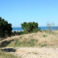 , Des &acirc;nes investissent le parc Foresta dans les quartiers Nord de Marseille, Made in Marseille