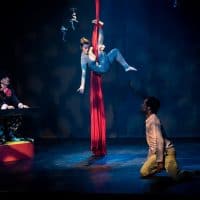 compagnie-cirque-spectacle-representation-biennale