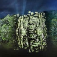 echaroux-photo-foret-amazonienne