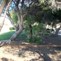 privatisation-jardin-parc-valmer-corniche