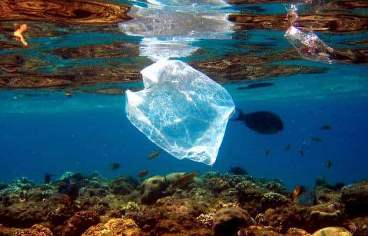Et si vous vous passiez de plastique pendant 15 jours ?