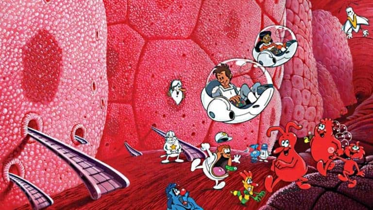 Il était une fois… La Vie, de retour à la télé pour éduquer les enfants !