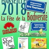 affiche3