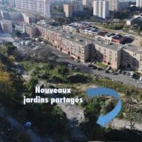 jardin-partage-potager-malpasse-cedres