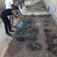 jardin-partage-quartiers-nord