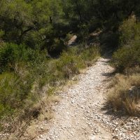 chemin-acces-randonnee-grotte-rolland