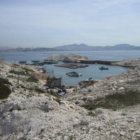 ferme-aquacole-provence-frioul-loup