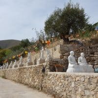 pagode-truc-lam-marseille