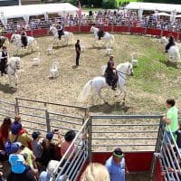 , Top d&eacute;part pour le Salon des Agricultures de Provence 2017, Made in Marseille