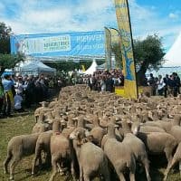 , Top d&eacute;part pour le Salon des Agricultures de Provence 2017, Made in Marseille