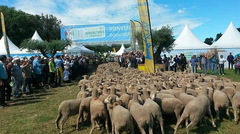 Top départ pour le Salon des Agricultures de Provence 2018