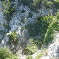 vue-entree-grotte-rolland-figuier