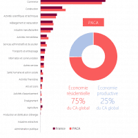 poids-des-differents-secteurs-dans-le-ca-global-paca
