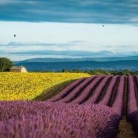 agriculture-proximite-lycee-provence