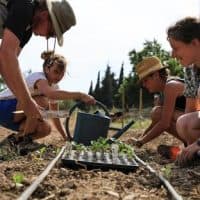 agriculture-quartier-nord-terre-de-mars