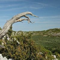, Comment d&eacute;velopper le tourisme &laquo;&nbsp;littoral&nbsp;&raquo; tout en ma&icirc;trisant la pollution&nbsp;?, Made in Marseille