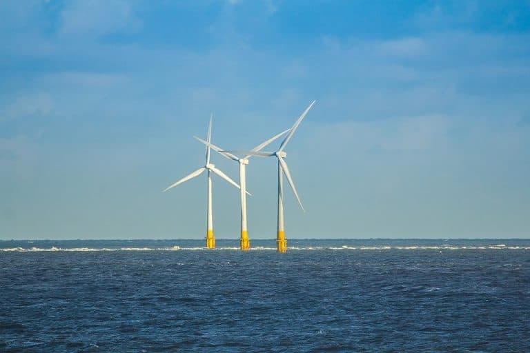 La filière de l’éolien en mer flottant a le vent en poupe