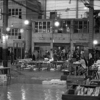 image-archive-halle-poisson-peche