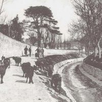rocade-jarret-riviere-boulevard-sakakini