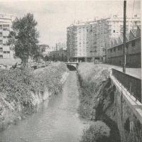 rocade-jarret-riviere-ruisseau-couvert