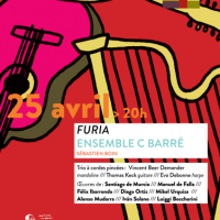 affiche-furia