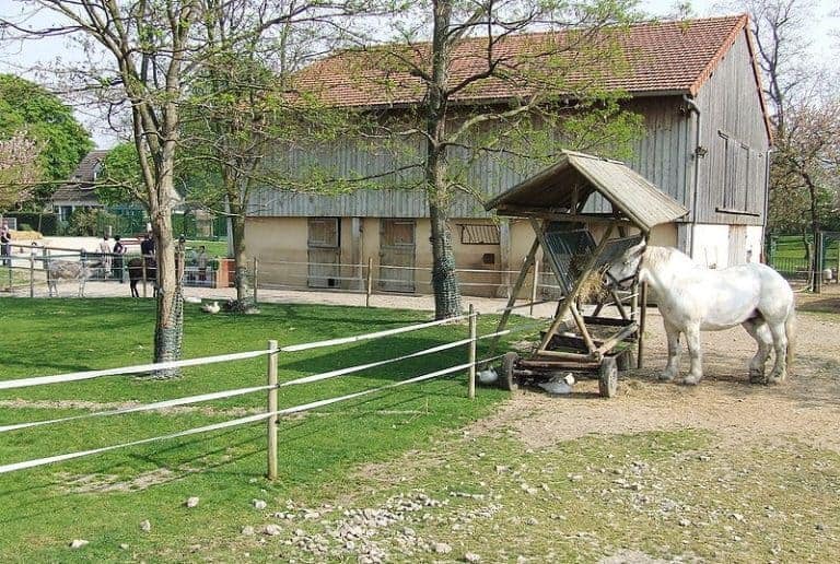 Où trouver des fermes pédagogiques à Marseille et en Provence ?