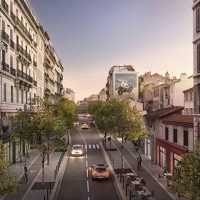 amenagement-arbre-cours-lieutaud