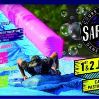 sardine